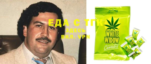 эйфоретик Ельня