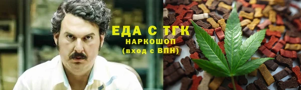 эйфоретик Ельня