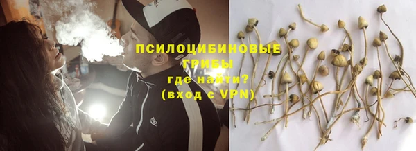 гашик Киров