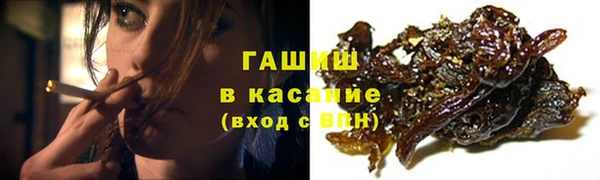 эйфоретик Ельня