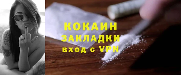 мет Елизово
