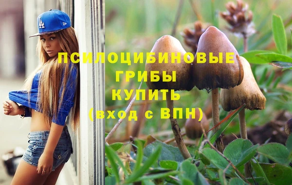 мет Елизово