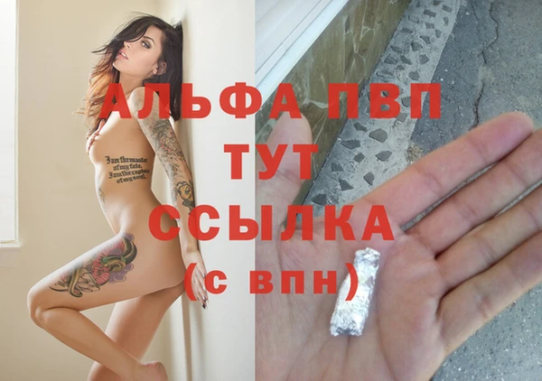эйфоретик Ельня